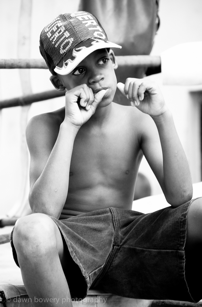 Cuban boxer boy